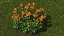 3D Flowering Plants Collection 12