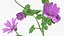 3D Flowering Plants Collection 12