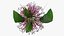 3D Flowering Plants Collection 12