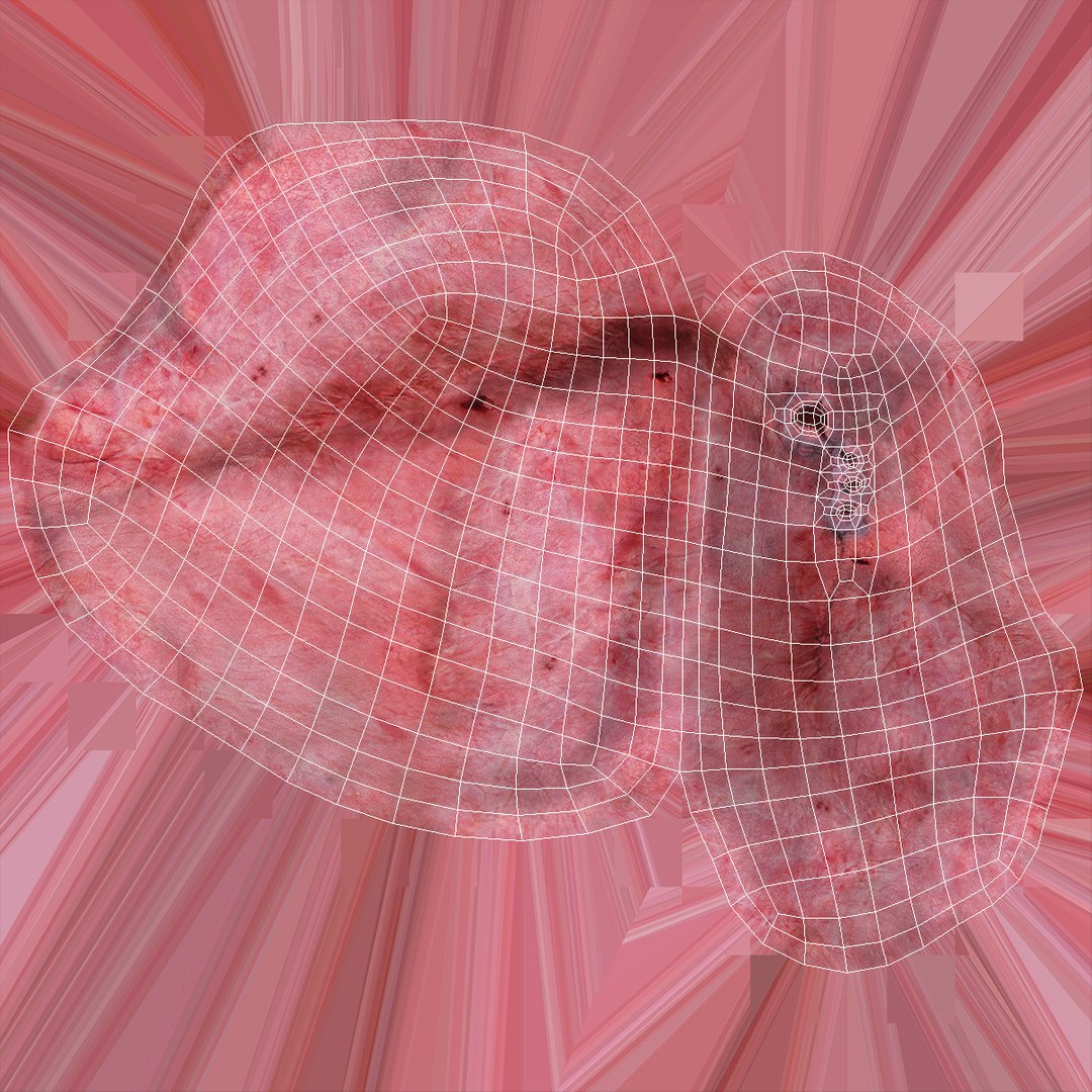 human internal organs anatomy model https://p.turbosquid.com/ts-thumb/Cx/2dSvQE/5pU13AaM/humaninternalorgans3dmodel037/jpg/1572956243/1920x1080/fit_q87/850306e6c084c0785539eae187b9850a1ea00ede/humaninternalorgans3dmodel037.jpg