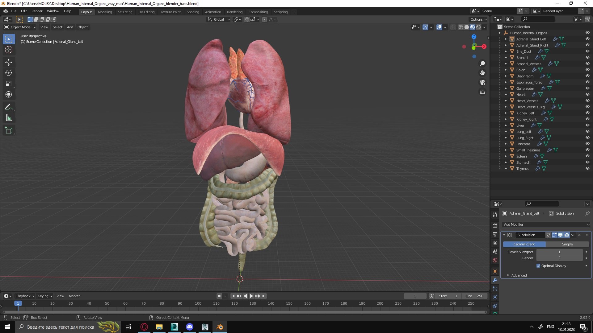 human internal organs anatomy model https://p.turbosquid.com/ts-thumb/Cx/2dSvQE/EG/human_internal_organs_1001/jpg/1674047495/1920x1080/fit_q87/dac1ac1ecef766c06f5f41d4c654b909afea8e31/human_internal_organs_1001.jpg