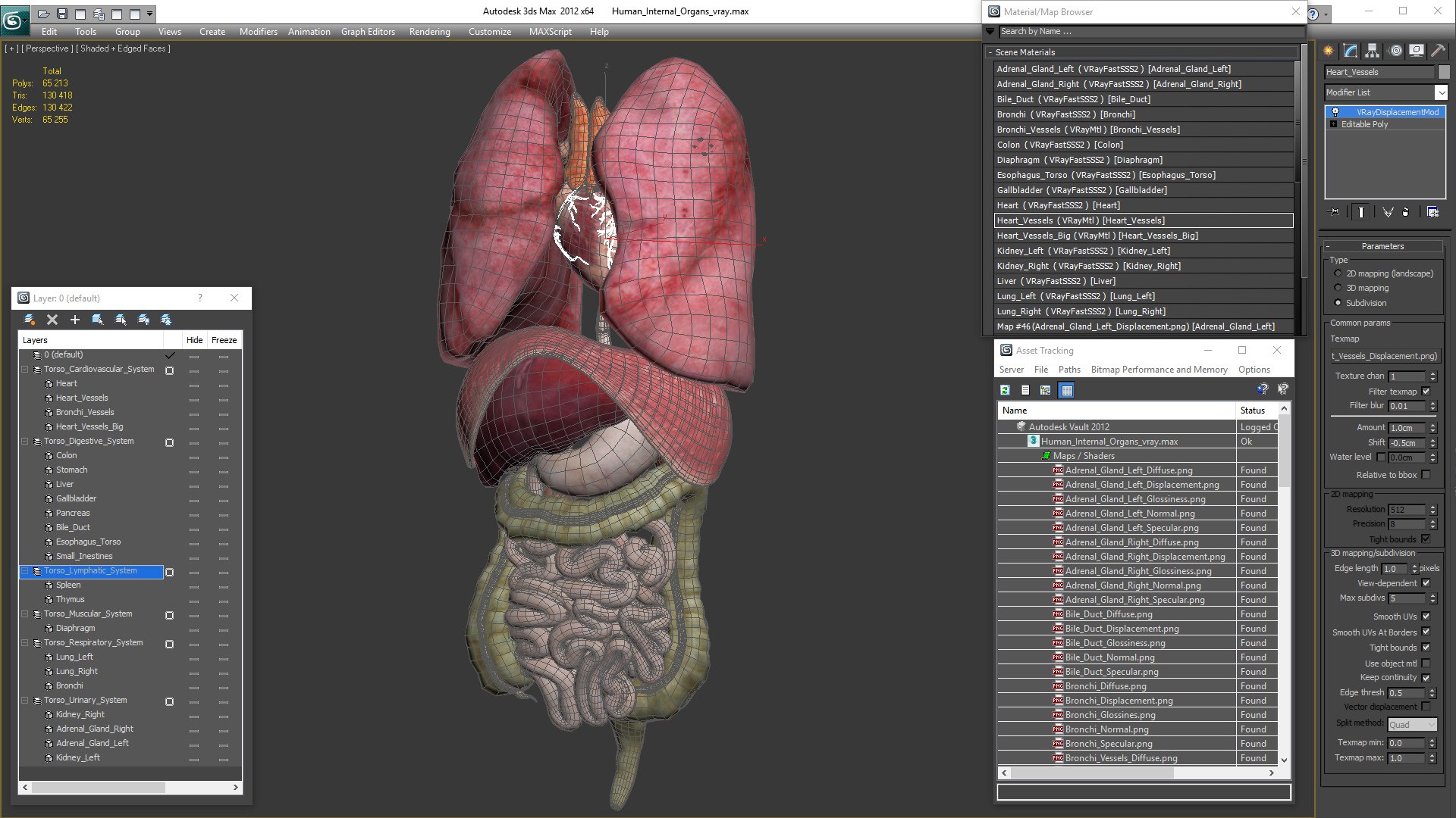 human internal organs anatomy model https://p.turbosquid.com/ts-thumb/Cx/2dSvQE/GemGXBEc/humaninternalorgans3dmodel041/jpg/1572956270/1920x1080/fit_q87/8bb1da7bfcaf2f89f56ecbad488b45ba9e5ec3a2/humaninternalorgans3dmodel041.jpg