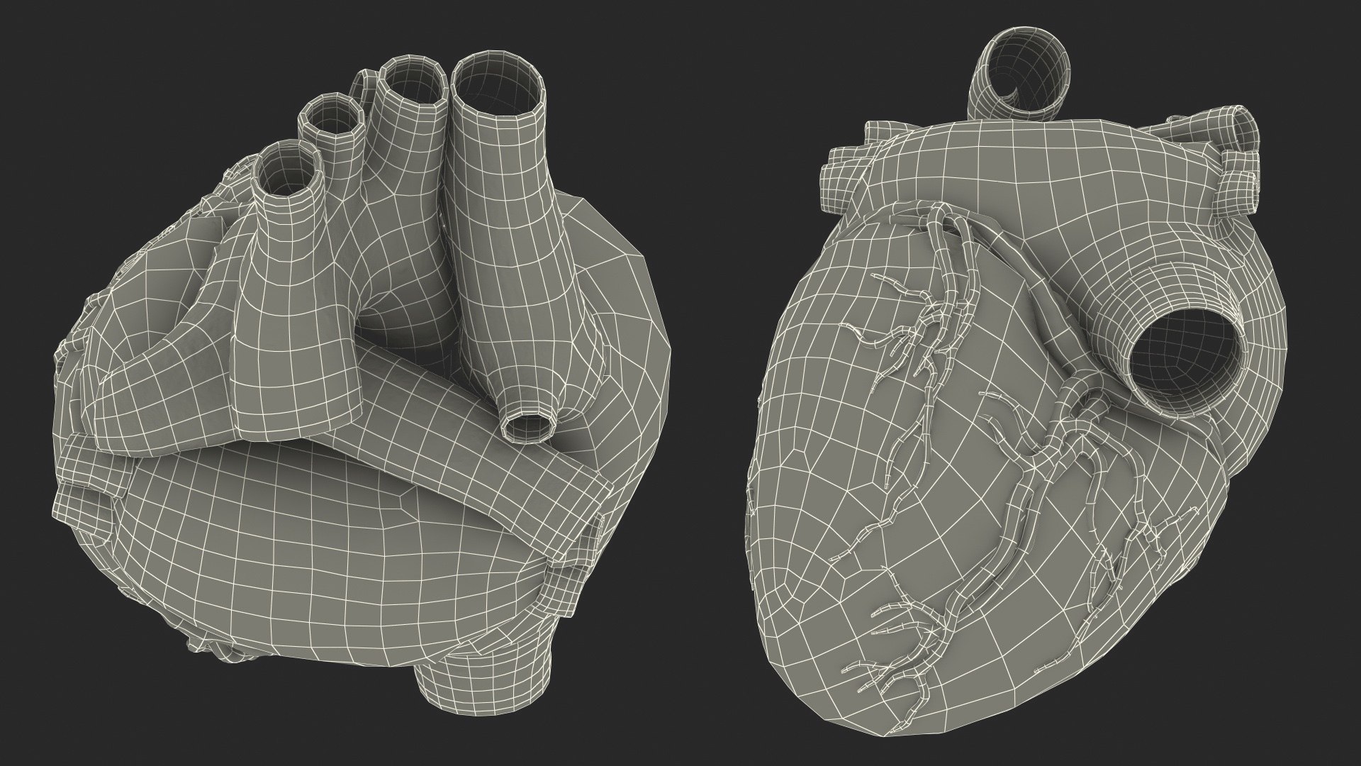 human internal organs anatomy model https://p.turbosquid.com/ts-thumb/Cx/2dSvQE/HiXqbIxd/humaninternalorgans3dmodel044/jpg/1572956286/1920x1080/fit_q87/814b08643dd56aeef76394d8fc28b8d79a191828/humaninternalorgans3dmodel044.jpg