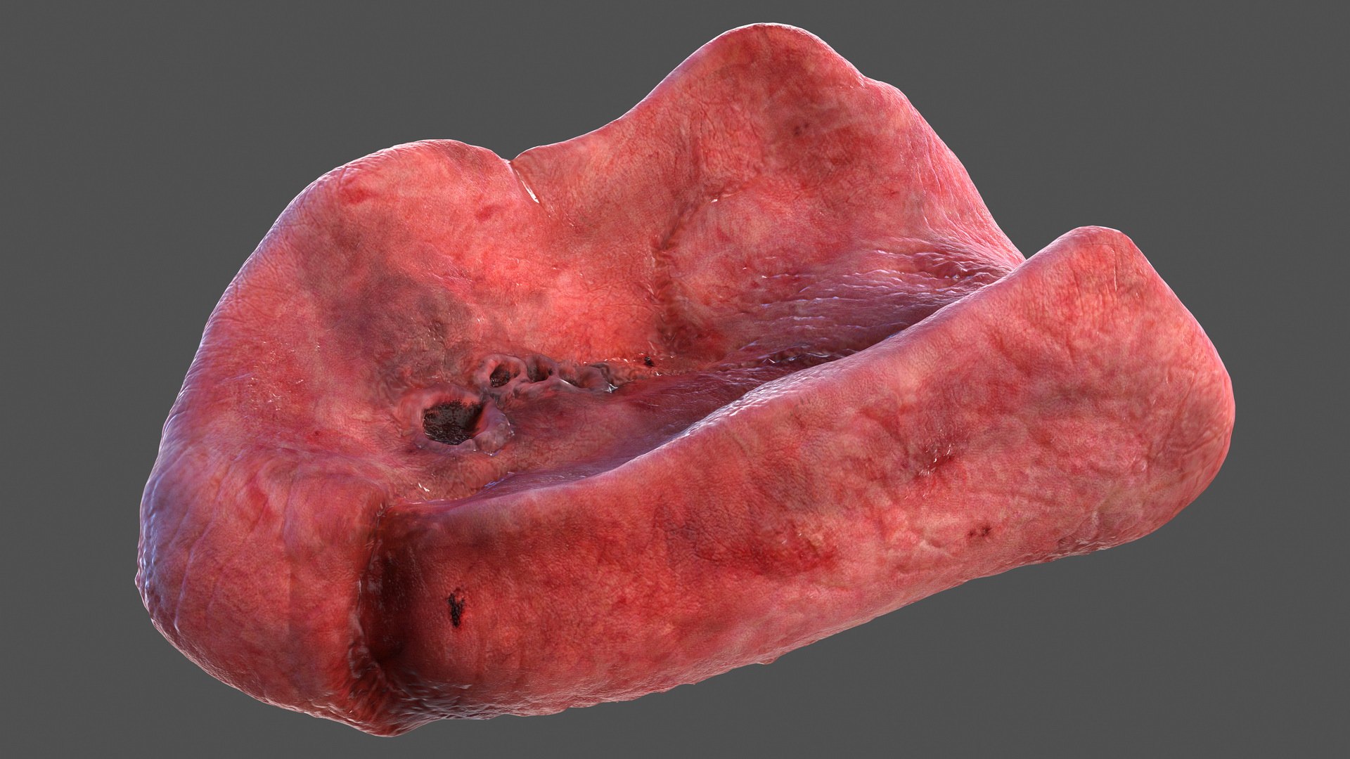human internal organs anatomy model https://p.turbosquid.com/ts-thumb/Cx/2dSvQE/SAlqF3HV/humaninternalorgans3dmodel029/jpg/1572956173/1920x1080/fit_q87/3515db2c6e95a8a09d7cc3c03ebdf13f8bb3b5b0/humaninternalorgans3dmodel029.jpg