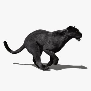 Black Jaguar Animated UNREAL project 3D