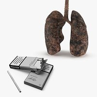 Cigarettes and Lung Anatomy Smoker Collection