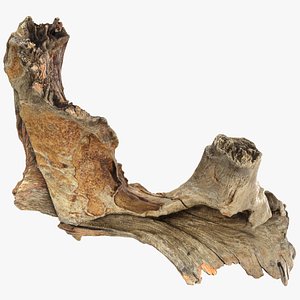 3D Tree Trunk Piece 05 - Raw Scan