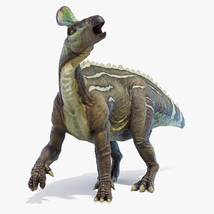 Tsintaosaurus Animated