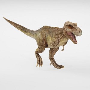 Realistic Tyrannosaurus Rex Dinosaur 3D model