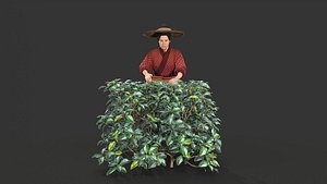 3D Ancient Chinese women model