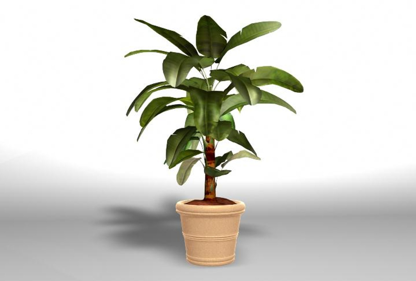 Potted Palm Tree Obj