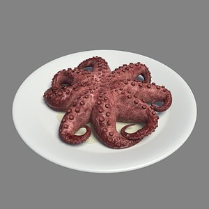 Grilled octopus model