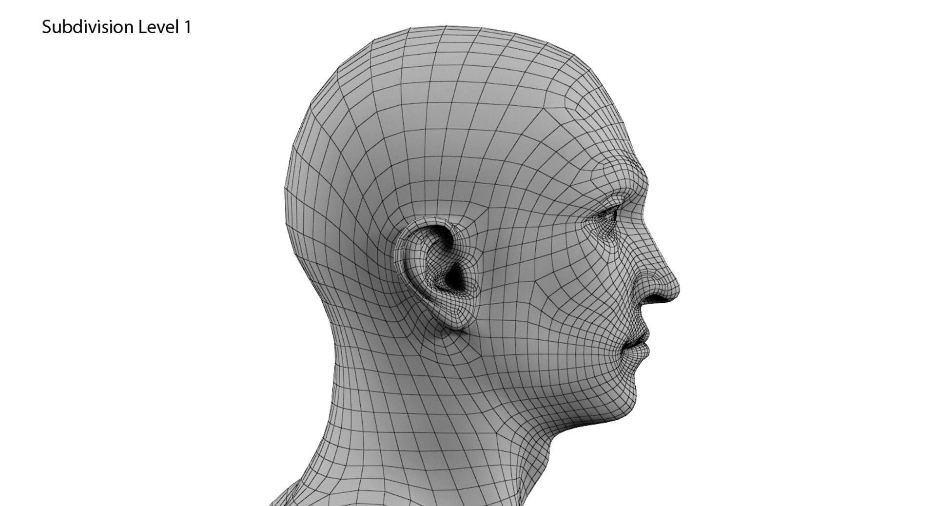 3d model of male man human https://p.turbosquid.com/ts-thumb/Cy/9XU0Zb/4MoO363F/16/jpg/1479046158/1920x1080/fit_q87/9db3340ea1d5e2b290edb9752e4476ce0bcad242/16.jpg