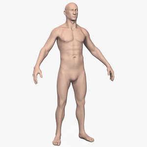 3d model of male man human