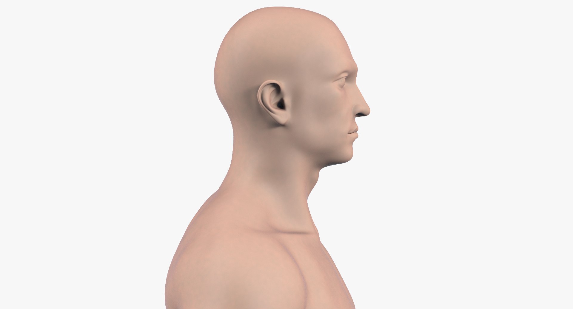 3d model of male man human https://p.turbosquid.com/ts-thumb/Cy/9XU0Zb/Db0qgoUk/4_1/jpg/1479046158/1920x1080/fit_q87/beb4b165e1e5f78b9cb8010a7f14bf222de351fa/4_1.jpg