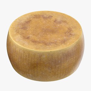 3D parmesan cheese wheel