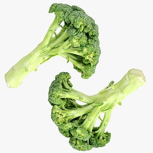 Broccoli Bunch