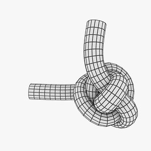 knot 3D model