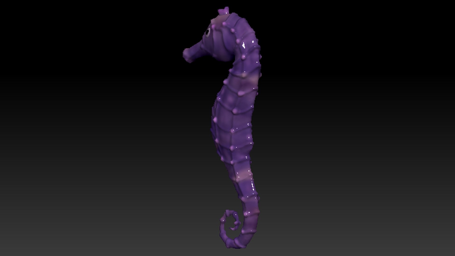 Sea Horse 3D model https://p.turbosquid.com/ts-thumb/Cy/XocbE0/Ff/003/jpg/1670911526/1920x1080/fit_q87/85be4079f2b4edd8cd352d619b8abe8e025c8c64/003.jpg