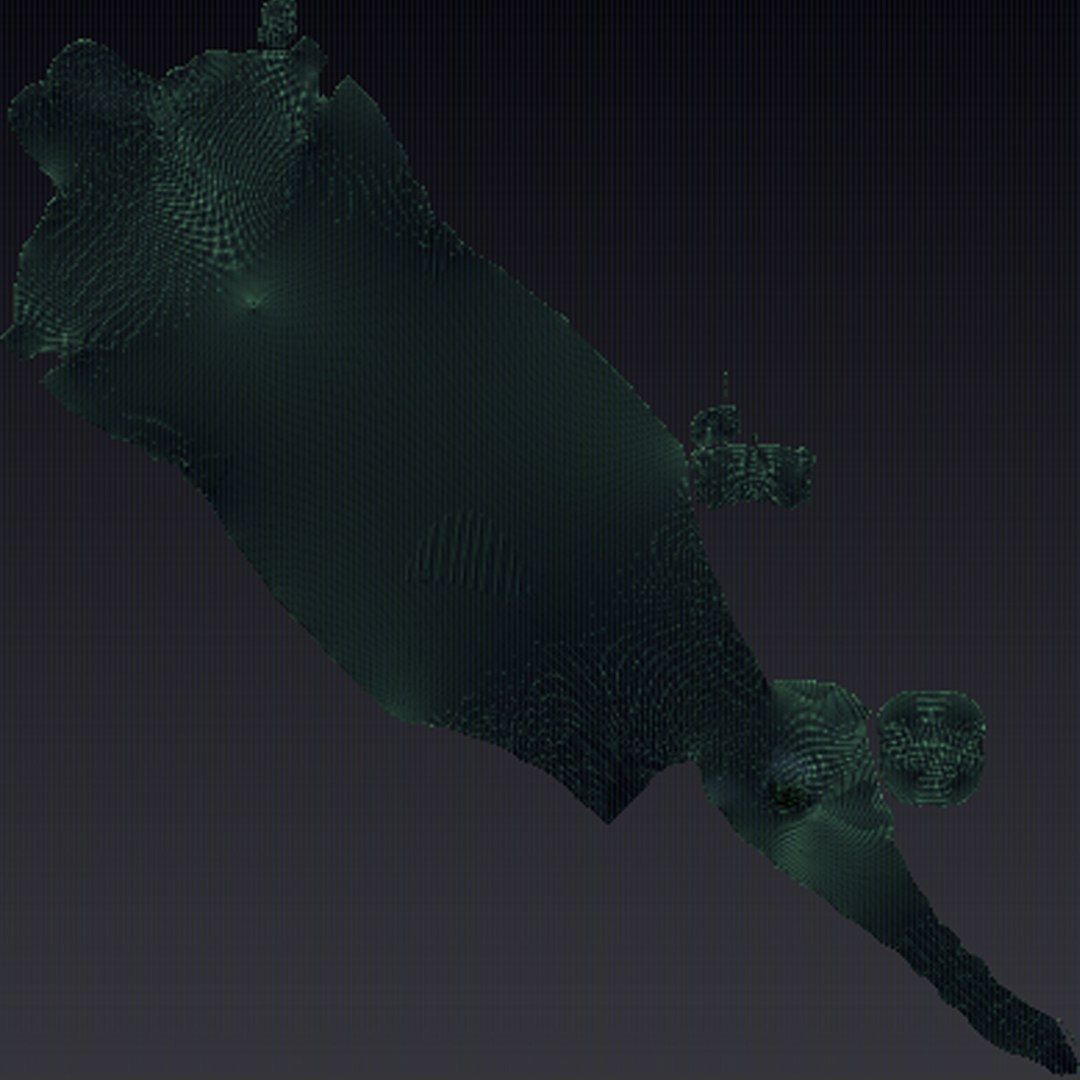 Sea Horse 3D model https://p.turbosquid.com/ts-thumb/Cy/XocbE0/TW/uv1/jpg/1670911605/1920x1080/fit_q87/5313c8be8bf3ea8186f562802008db270d613497/uv1.jpg