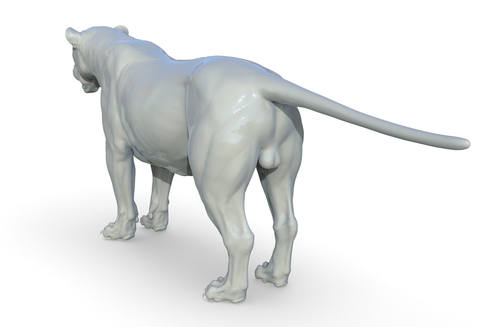 Asiatic Lion 3D https://p.turbosquid.com/ts-thumb/Cy/bdLRPV/44/render_05/jpg/1710695356/1920x1080/fit_q87/624ea24d9fe802c97244f96ab0da3ee471f4358e/render_05.jpg