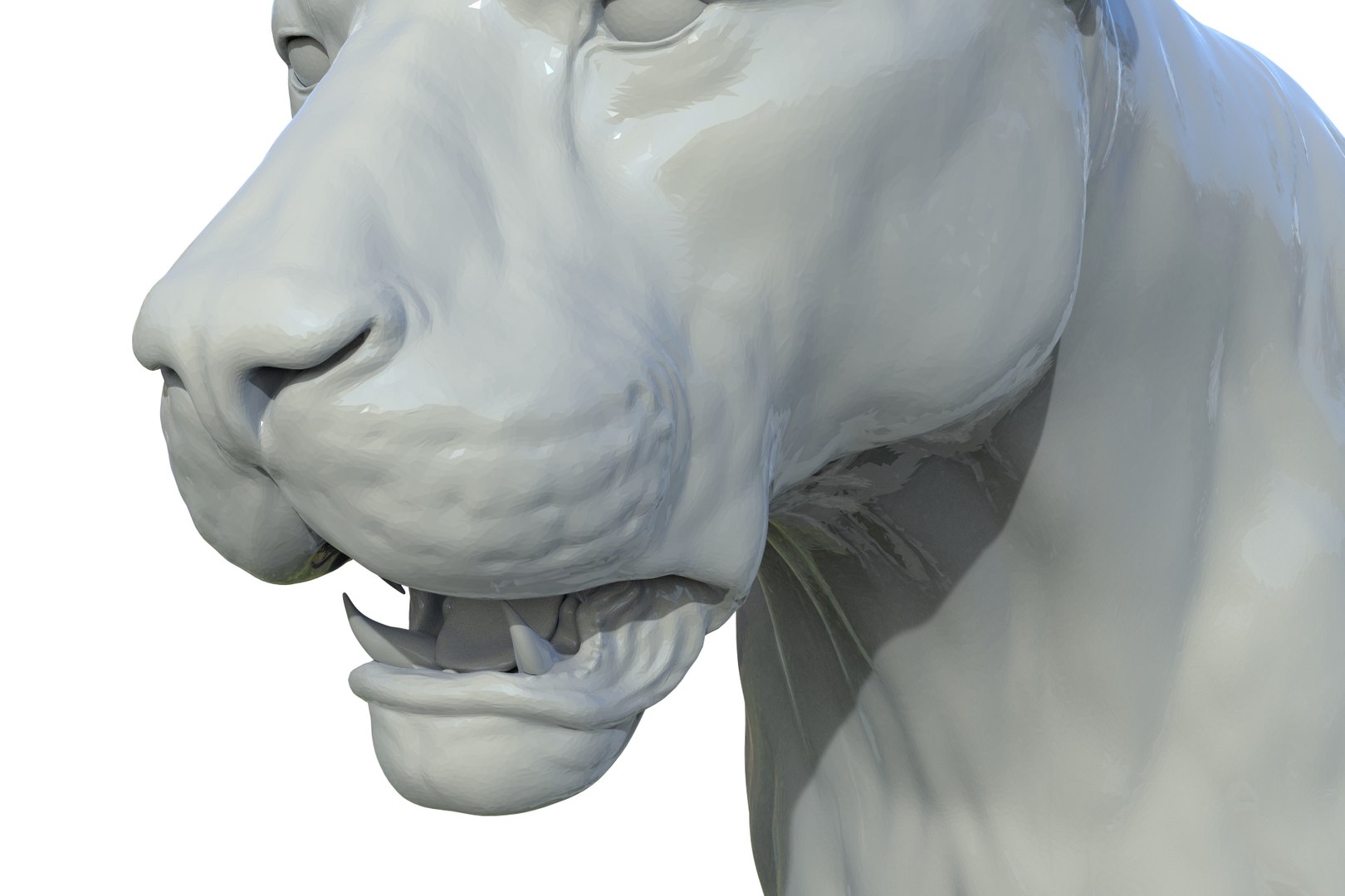 Asiatic Lion 3D https://p.turbosquid.com/ts-thumb/Cy/bdLRPV/83/render_19/jpg/1710695365/1920x1080/fit_q87/f93f9af9a142d9cf6491e9266341a03f89507b0b/render_19.jpg