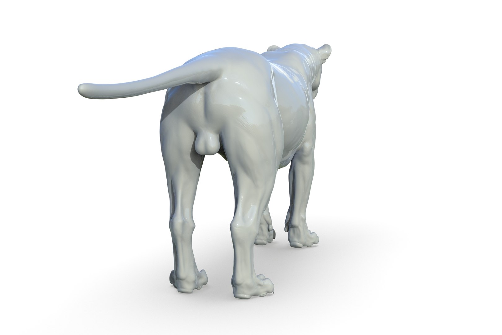 Asiatic Lion 3D https://p.turbosquid.com/ts-thumb/Cy/bdLRPV/EY/render_08/jpg/1710695358/1920x1080/fit_q87/264b5245e2df729253f9fdfbc3cd0dd7e41b7a77/render_08.jpg