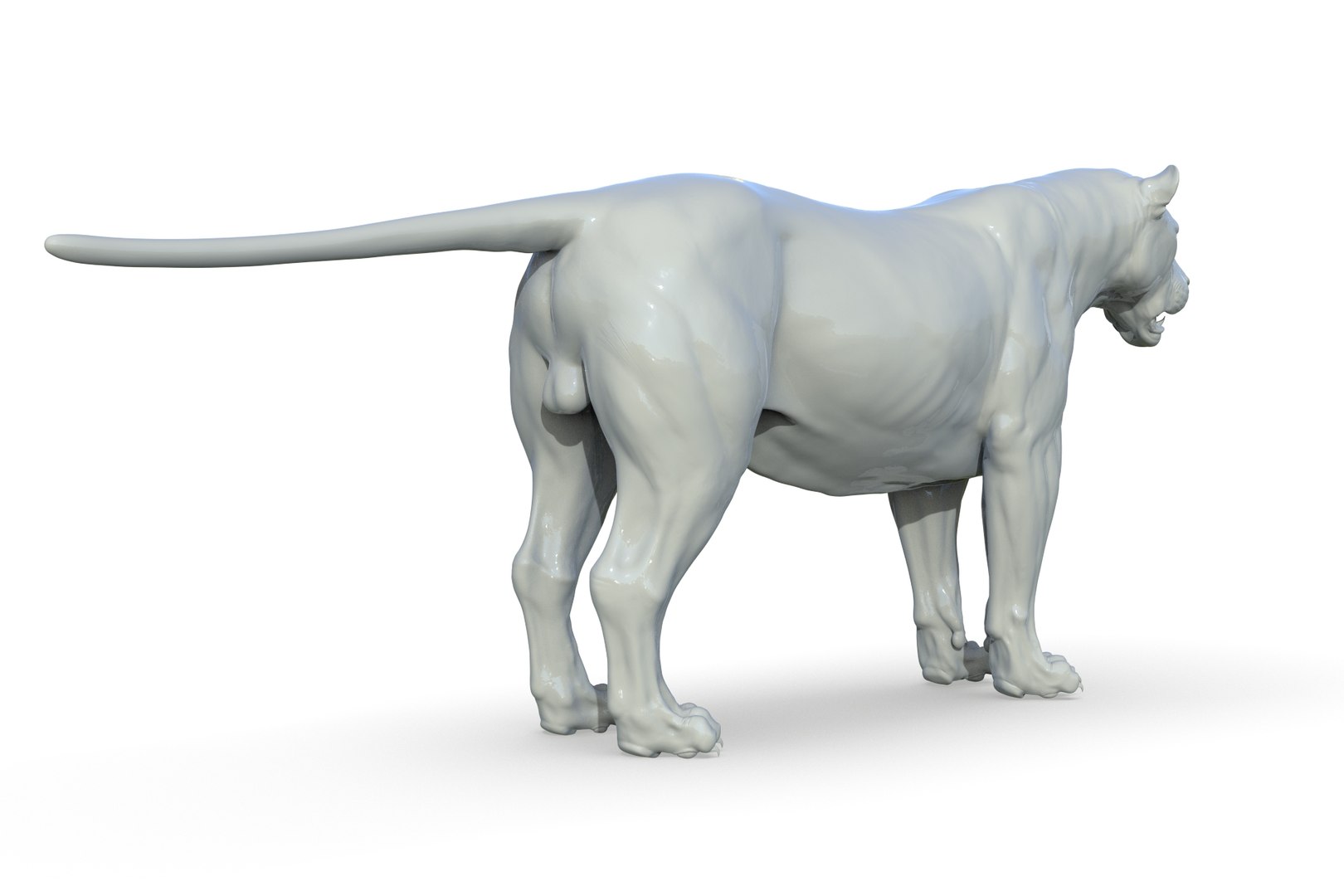 Asiatic Lion 3D https://p.turbosquid.com/ts-thumb/Cy/bdLRPV/Kn/render_11/jpg/1710695360/1920x1080/fit_q87/f64c60bcc57cd40946943f7b6b1fffdc687eaaad/render_11.jpg
