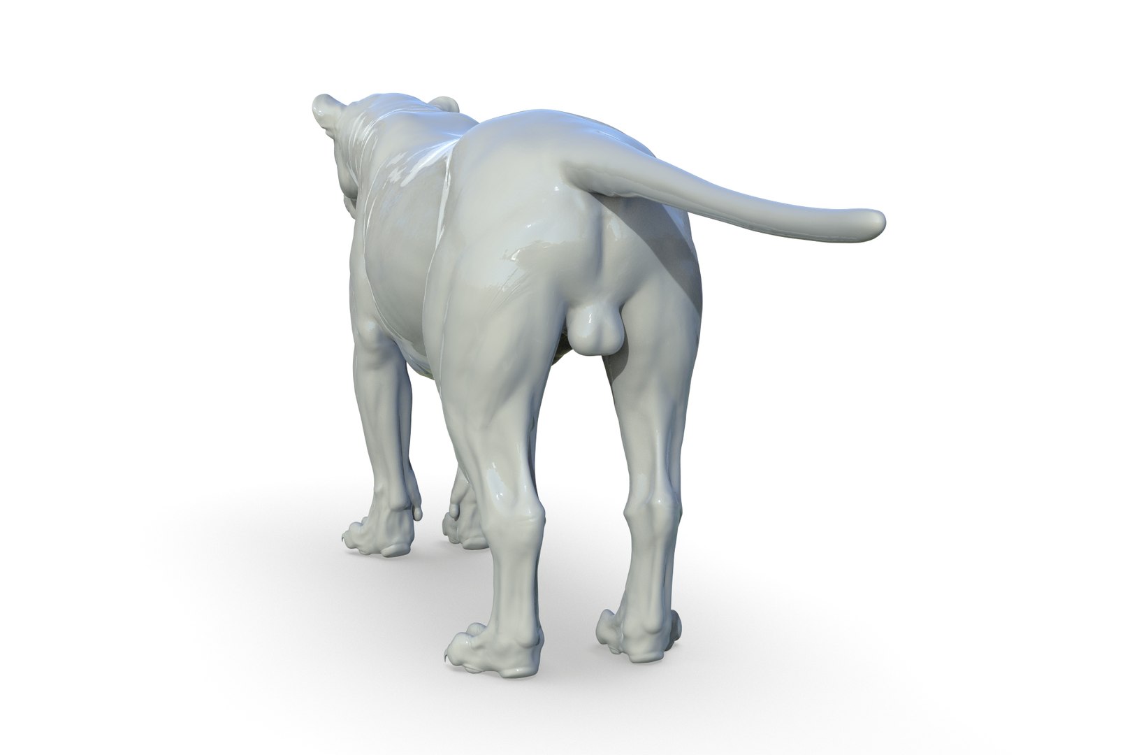 Asiatic Lion 3D https://p.turbosquid.com/ts-thumb/Cy/bdLRPV/Lt/render_06/jpg/1710695356/1920x1080/fit_q87/77fa9401819148f2d8dc4592ab68b67645b201cc/render_06.jpg