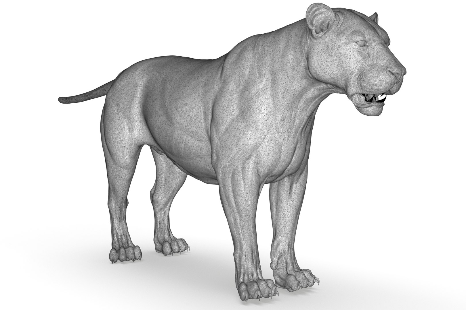Asiatic Lion 3D https://p.turbosquid.com/ts-thumb/Cy/bdLRPV/Ps/render_29/jpg/1710695372/1920x1080/fit_q87/275228a7f39a9c58b65bb2602e2a28a1575cf00d/render_29.jpg