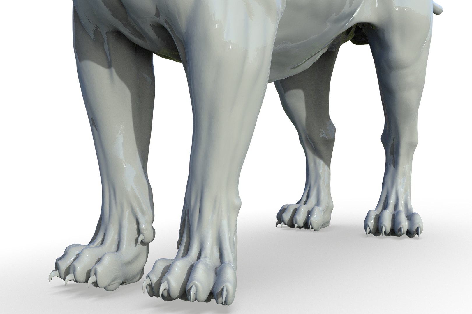 Asiatic Lion 3D https://p.turbosquid.com/ts-thumb/Cy/bdLRPV/Vu/render_22/jpg/1710695367/1920x1080/fit_q87/2f90b7dfa5d0a2fb2bddb276a3c1287cd70f1958/render_22.jpg