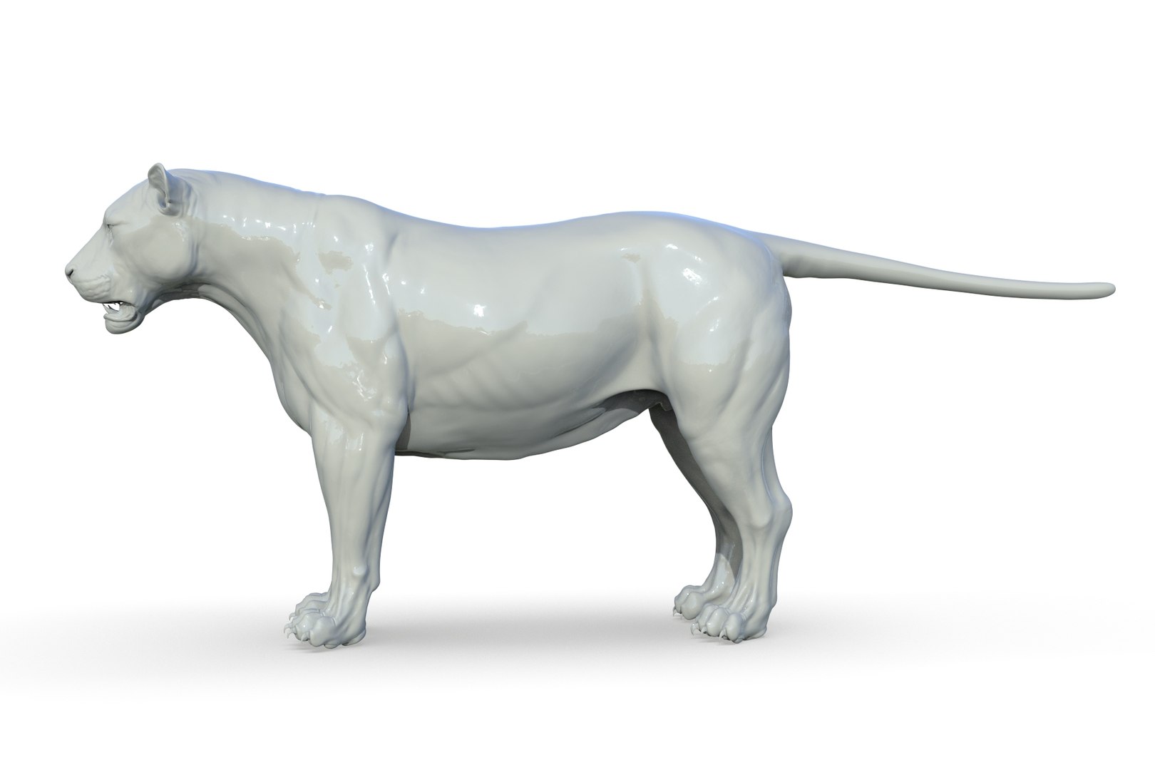 Asiatic Lion 3D https://p.turbosquid.com/ts-thumb/Cy/bdLRPV/XT/render_03/jpg/1710695354/1920x1080/fit_q87/1dd08686496cfab6865242a9b828383ef9bbb322/render_03.jpg