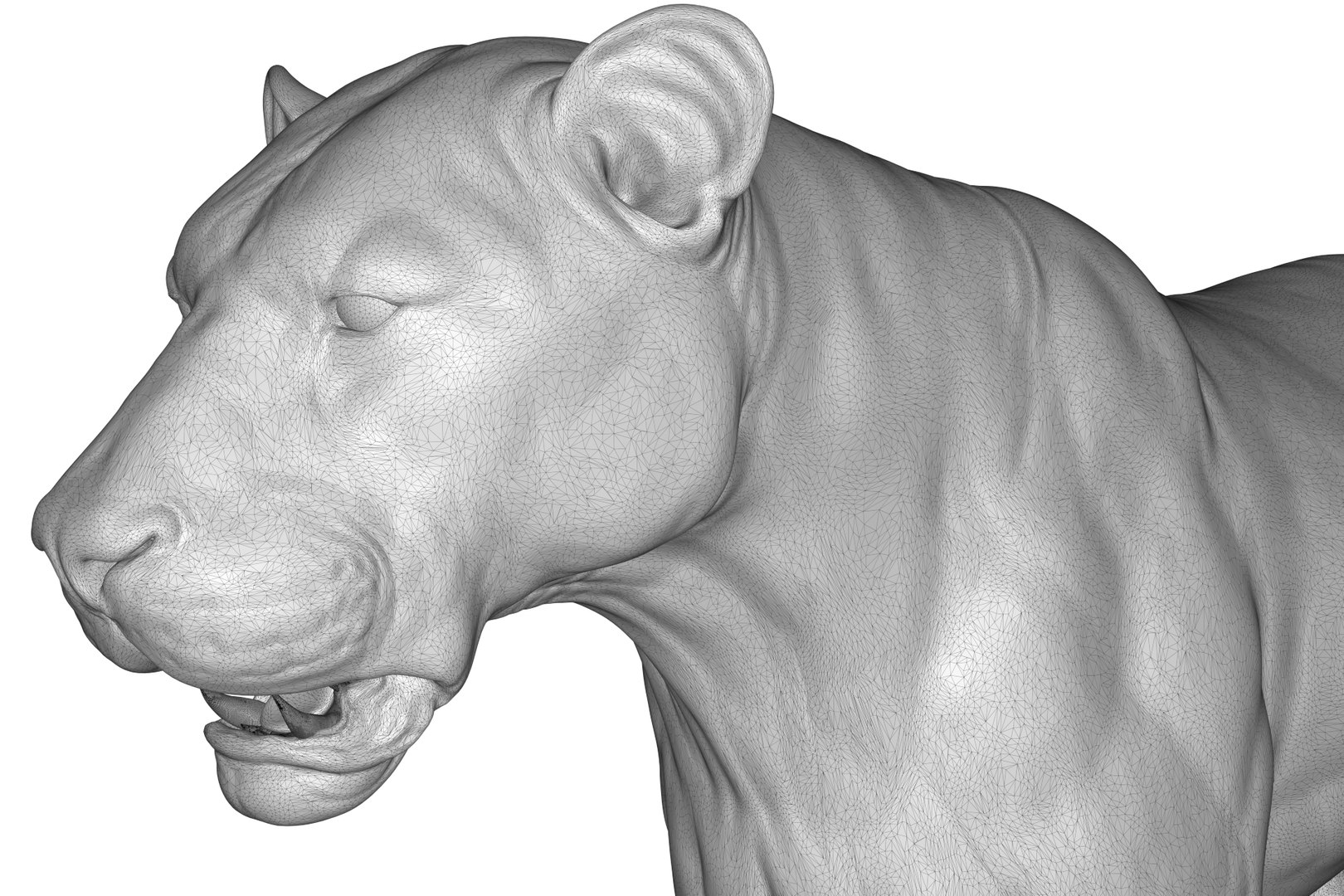 Asiatic Lion 3D https://p.turbosquid.com/ts-thumb/Cy/bdLRPV/kA/render_30/jpg/1710695374/1920x1080/fit_q87/4a59260a2fff972af24bcae1e96661514c7629d7/render_30.jpg