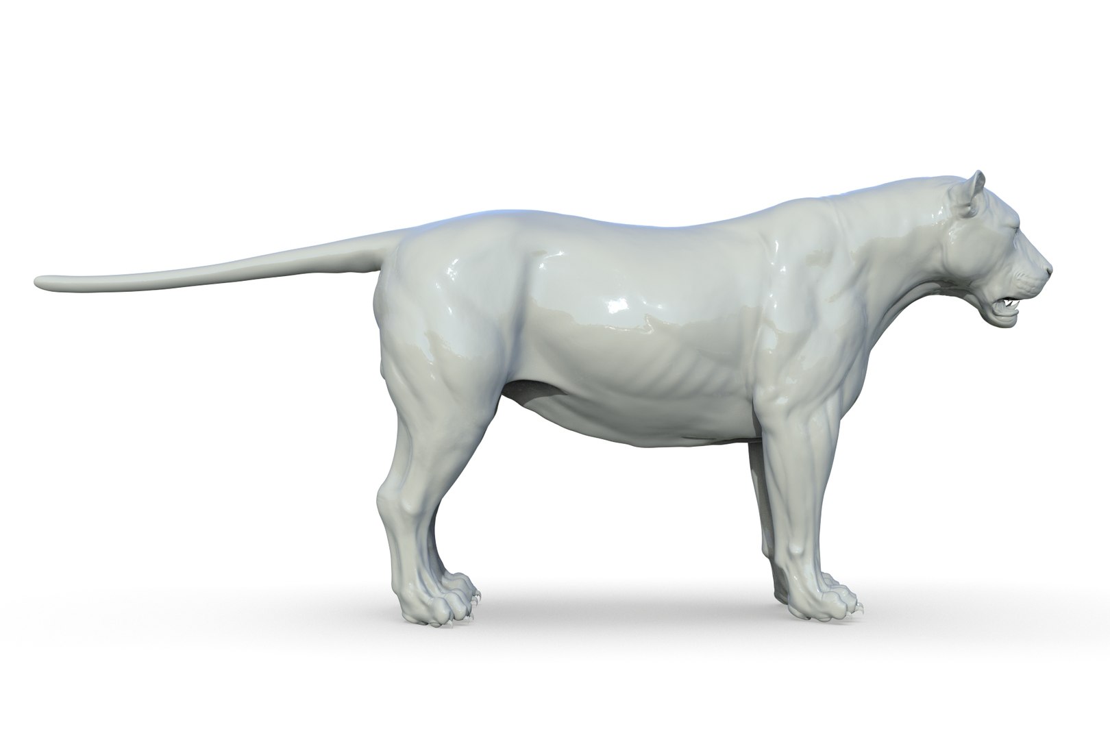 Asiatic Lion 3D https://p.turbosquid.com/ts-thumb/Cy/bdLRPV/mh/render_12/jpg/1710695360/1920x1080/fit_q87/4d919b11e8d6883140878f28df8fe2275b4e2240/render_12.jpg