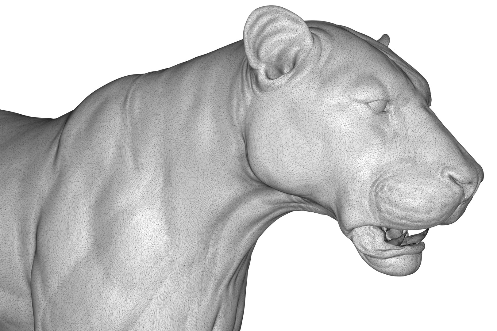 Asiatic Lion 3D https://p.turbosquid.com/ts-thumb/Cy/bdLRPV/zk/render_31/jpg/1710695374/1920x1080/fit_q87/1abaffb6796c8784242021e779143d061b2ea0d0/render_31.jpg
