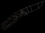 Low Poly Switchblade