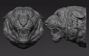 Tiger head roar