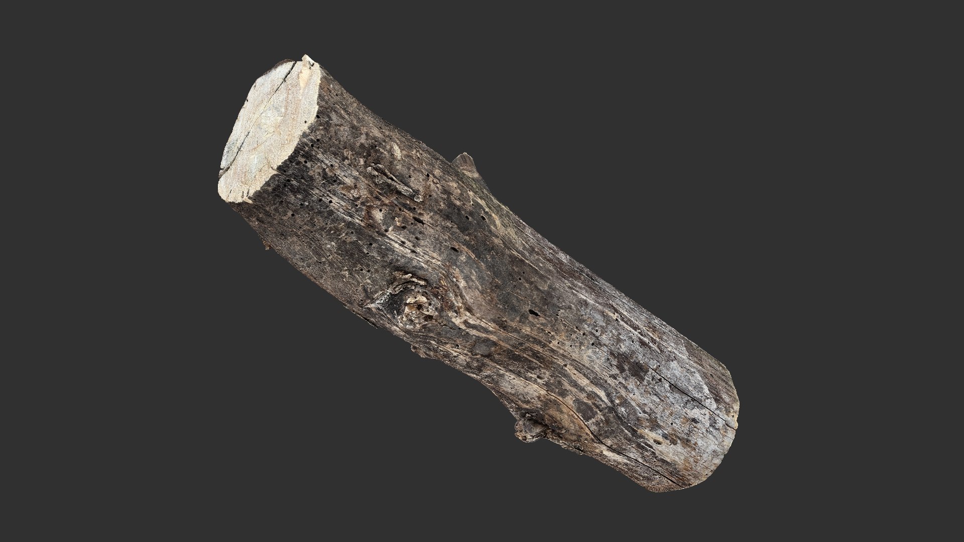 3D Withered Tree Trunk 3d Scan In Highpoly Model - TurboSquid 2202725
