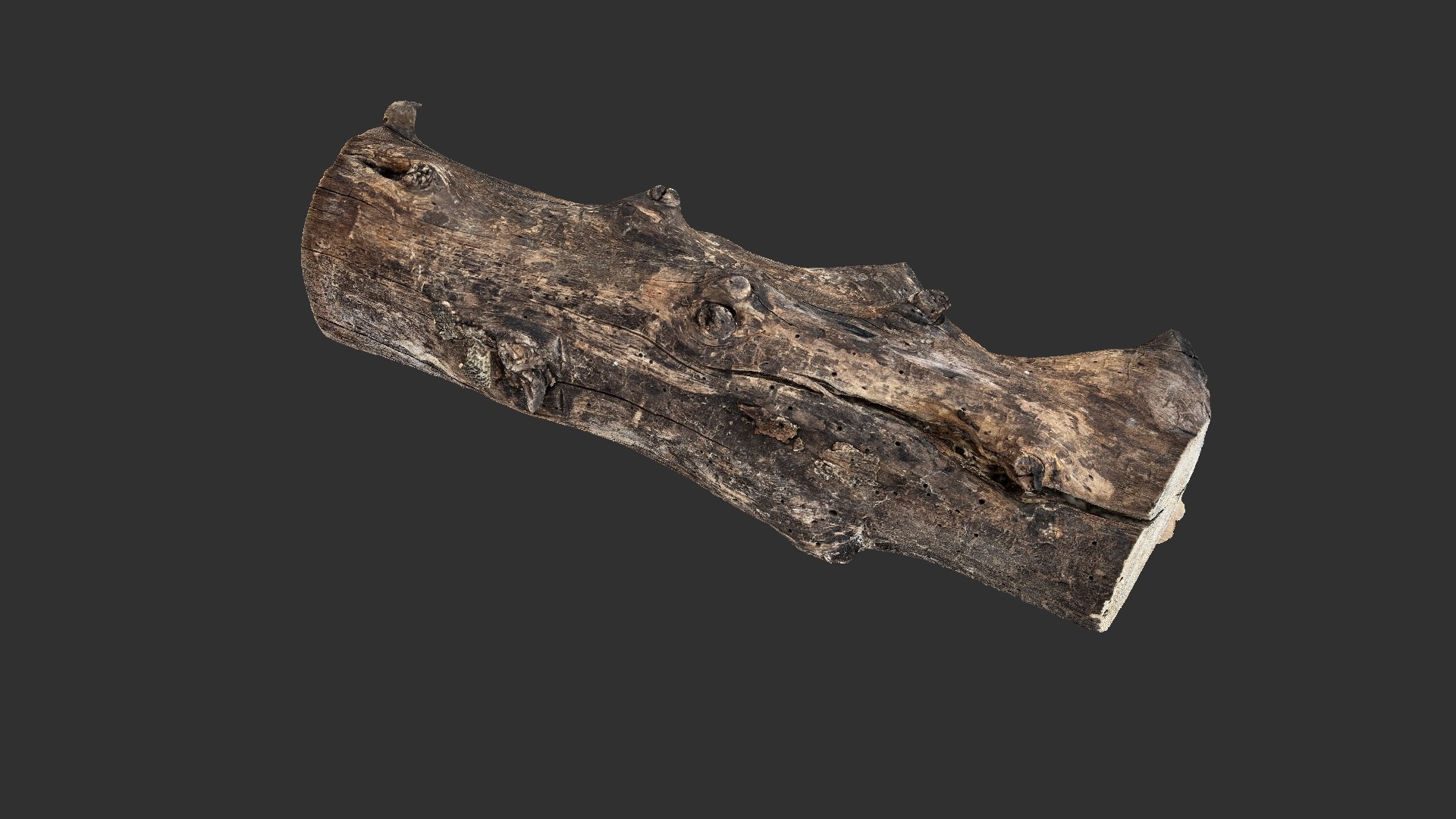 3D Withered Tree Trunk 3d Scan In Highpoly Model - TurboSquid 2202725