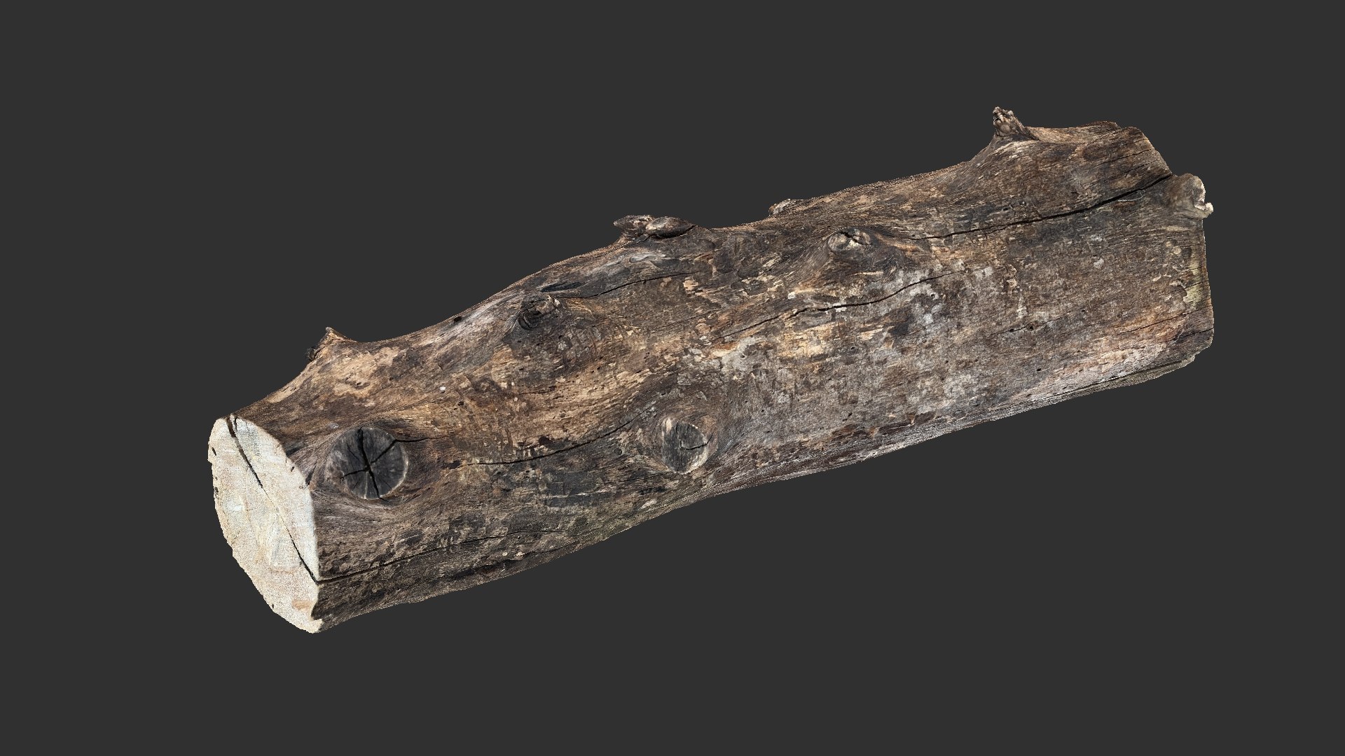 3D Withered Tree Trunk 3d Scan In Highpoly Model - TurboSquid 2202725