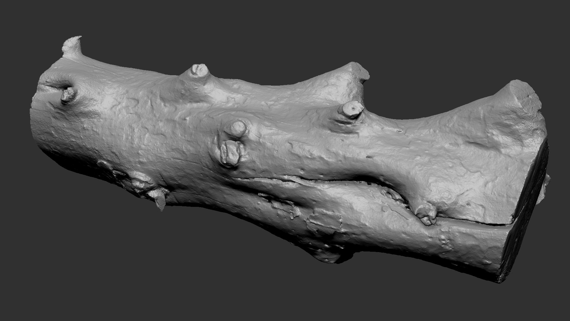 3D Withered Tree Trunk 3d Scan In Highpoly Model - TurboSquid 2202725