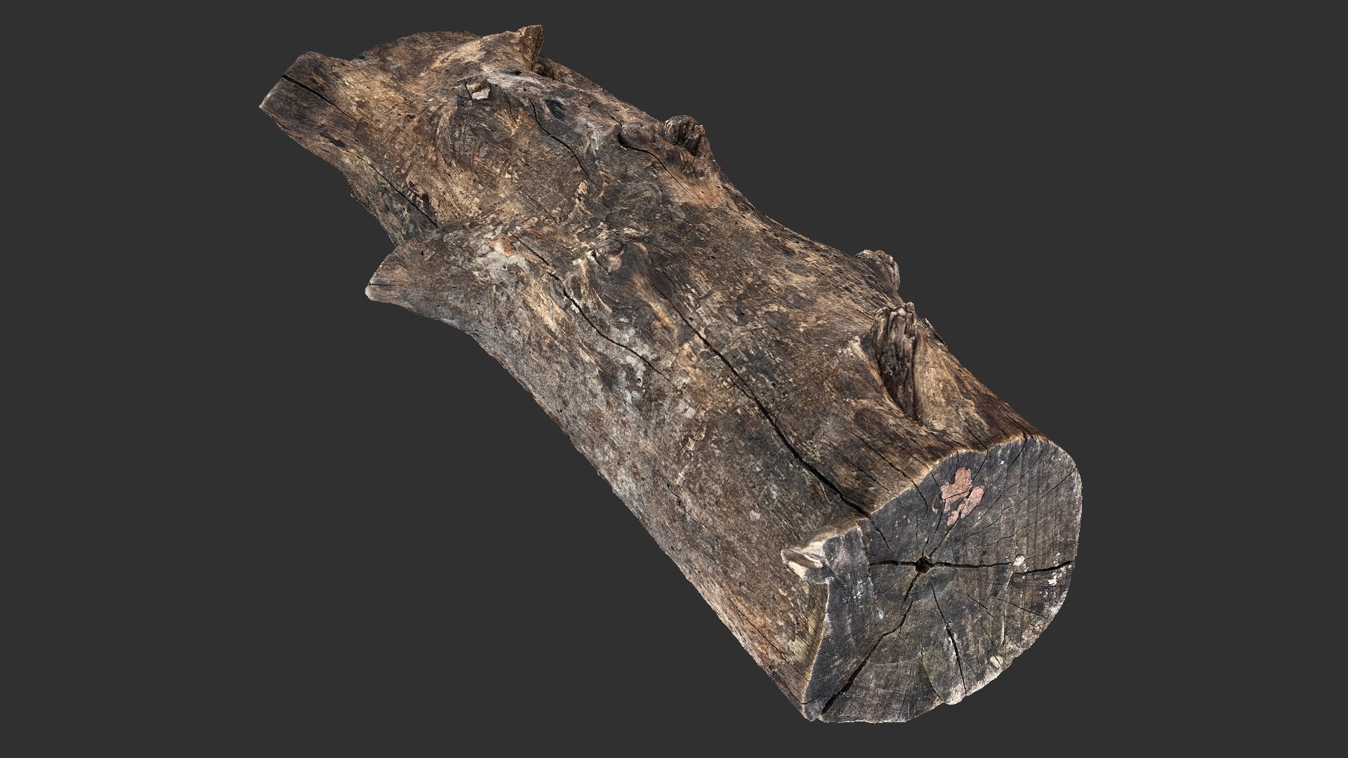 3D Withered Tree Trunk 3d Scan In Highpoly Model - TurboSquid 2202725