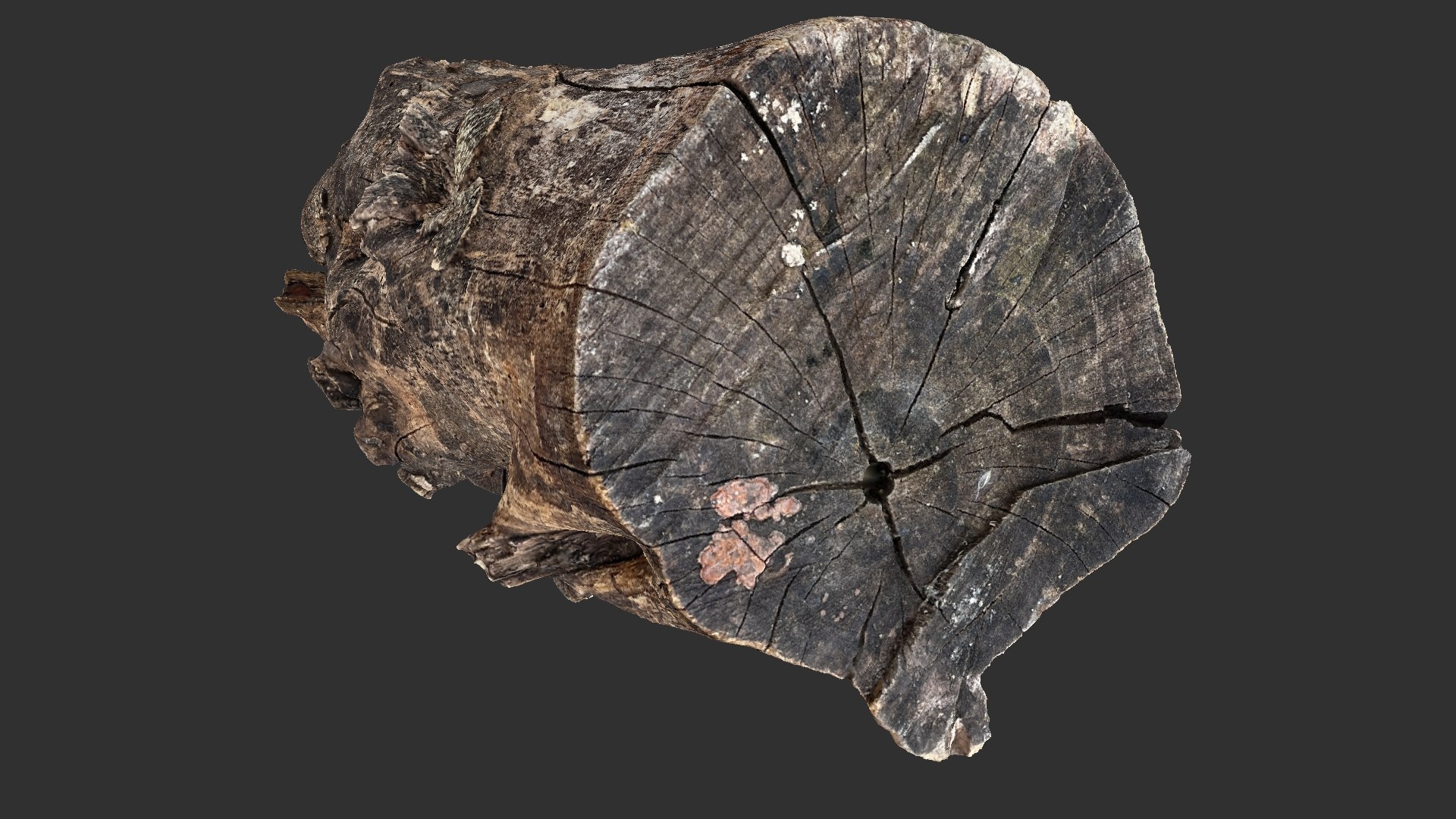 3D Withered Tree Trunk 3d Scan In Highpoly Model - TurboSquid 2202725