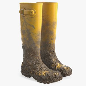 3D Dirt on Rubber Boots model
