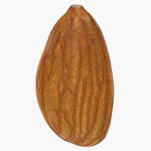 Raw Almond 3D model