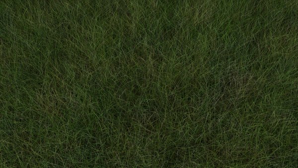 modelo 3d Conjunto de pastos - TurboSquid 1802771