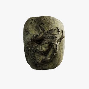 Anydrafts Cinnamomum japonicum Burl 02