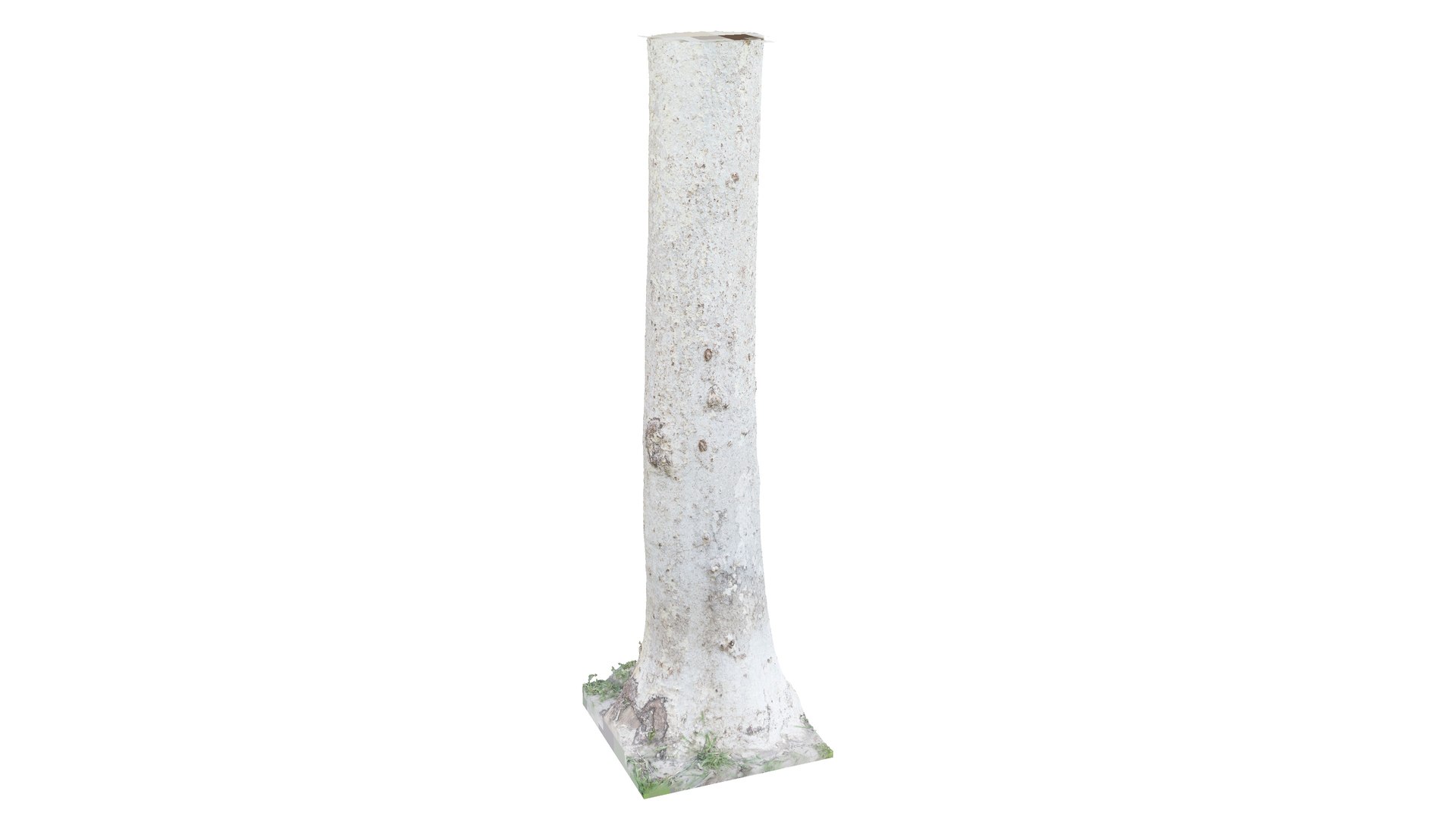 photogrammetry diffuse 3D model https://p.turbosquid.com/ts-thumb/Cz/q6imcm/1DOGO1FR/whitebirchtrunk_3/jpg/1553270087/1920x1080/fit_q87/aa52e3e0f5f0fb17302f65e281dadc24b0d91baa/whitebirchtrunk_3.jpg