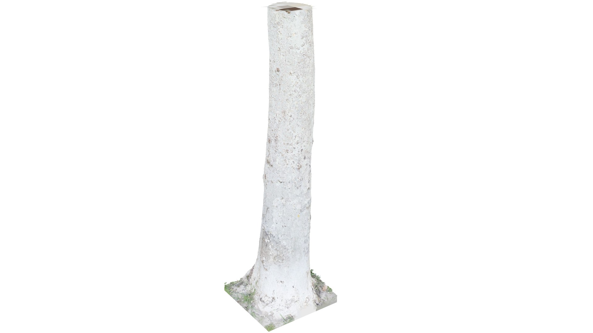 photogrammetry diffuse 3D model https://p.turbosquid.com/ts-thumb/Cz/q6imcm/3tZPUgfd/whitebirchtrunk_4/jpg/1553270099/1920x1080/fit_q87/e83168f28e9ffc9897718f28161a16218d1b0829/whitebirchtrunk_4.jpg