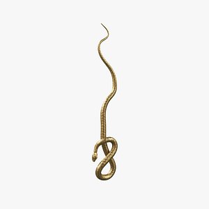 Gold-Silver Snake Wall Art